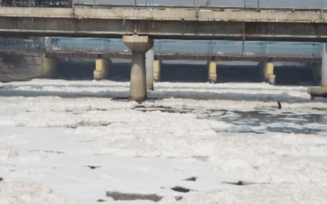 A sacred river in India is full of toxic foam!